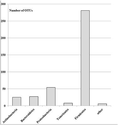 Host genetics and gut microbiota composition: Baseline gut microbiota composition as a possible prognostic factor for the severity of COVID-19 in patients with familial Mediterranean fever disease